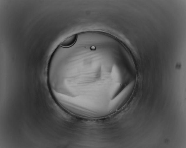 X0000101171512200807181410