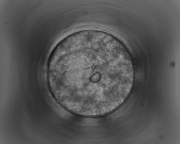 X0000101171514200807181410