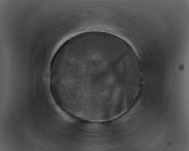 X0000101171515200807181410