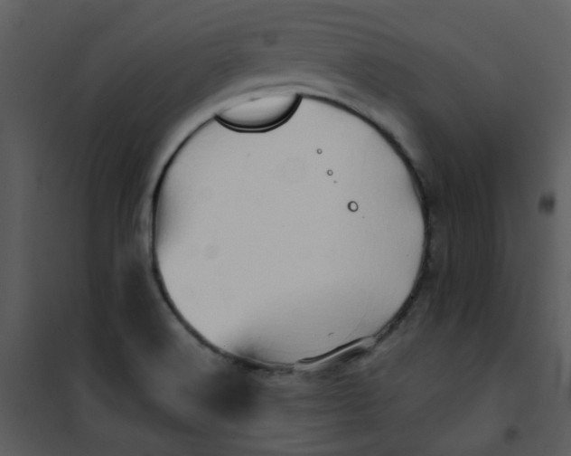 X0000101171516200807181410