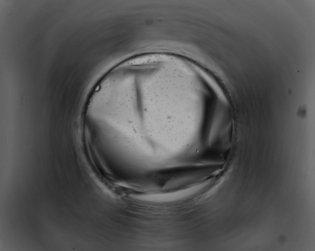 X0000101171517200807181410