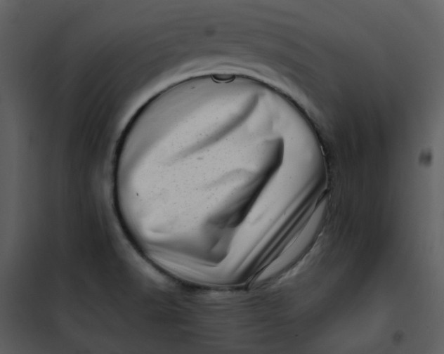 X0000101171518200807181410