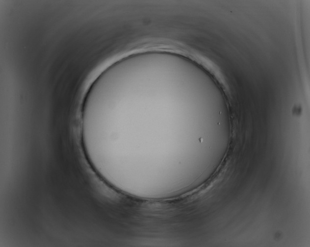X0000101171520200807181410