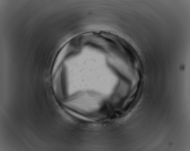 X0000101171521200807181410