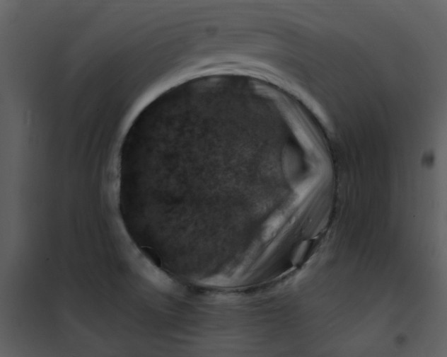 X0000101171522200807181410