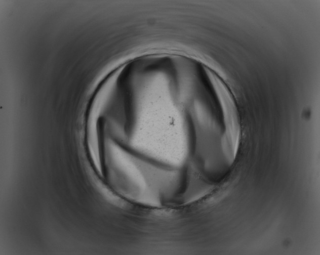 X0000101171523200807181410
