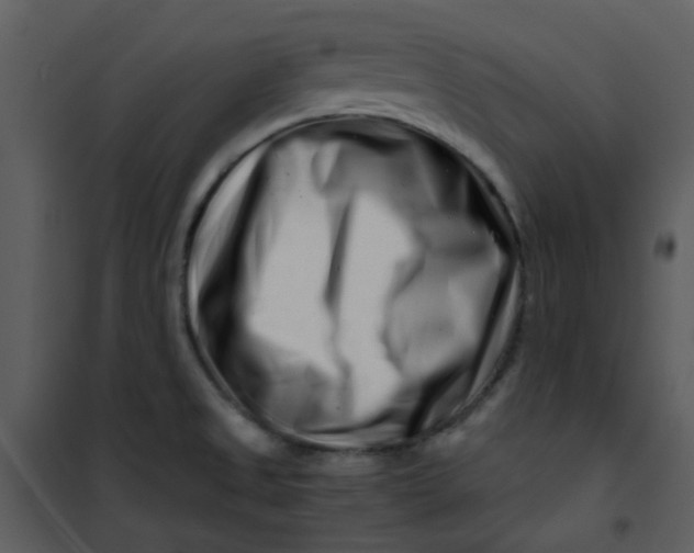 X0000101171525200807181410