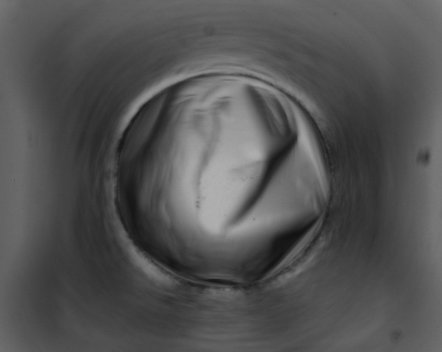 X0000101171526200807181410