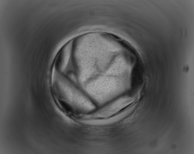 X0000101171527200807181410