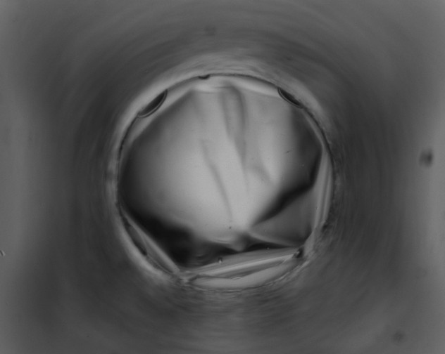X0000101171528200807181410
