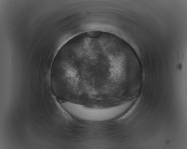 X0000101171529200807181411