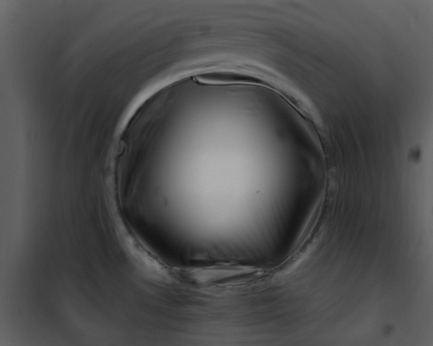 X0000101171530200807181411