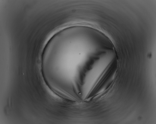 X0000101171531200807181411