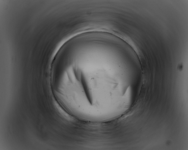X0000101171532200807181411