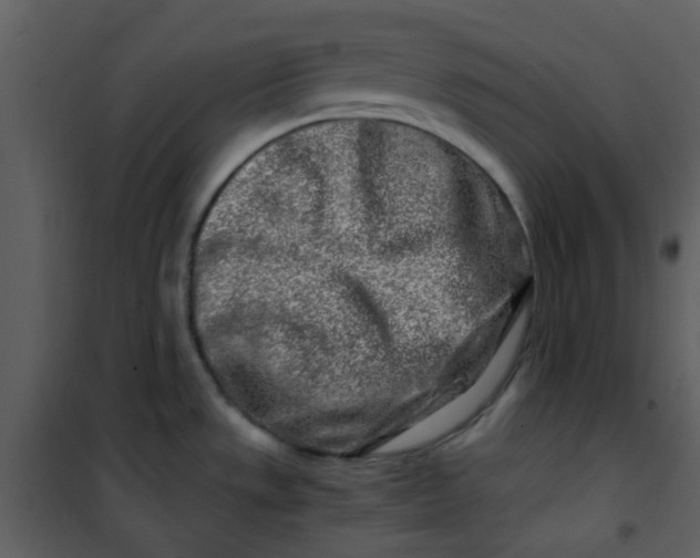 X0000101171533200807181411