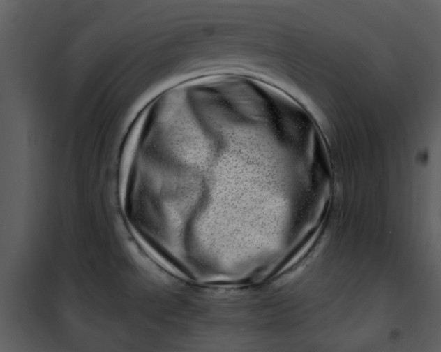 X0000101171534200807181411