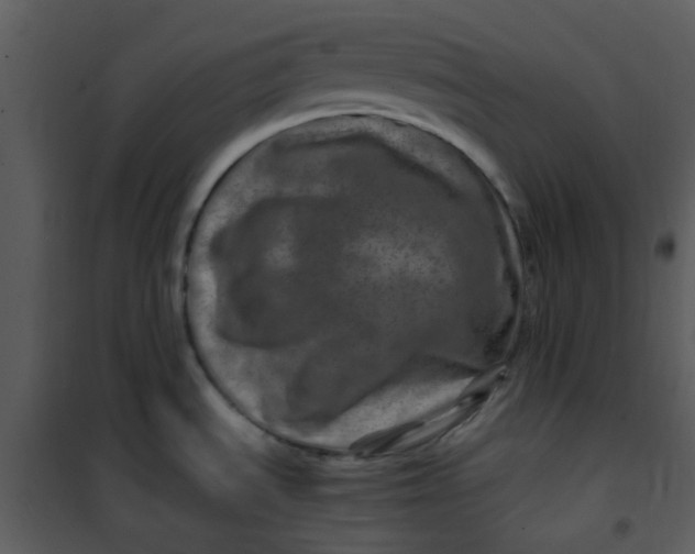 X0000101171535200807181411