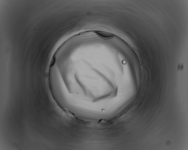 X0000101171536200807181411