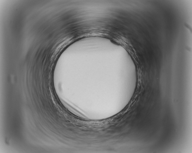 X0000101170001200807251143