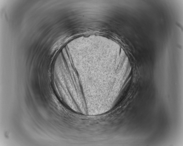 X0000101170002200807251143