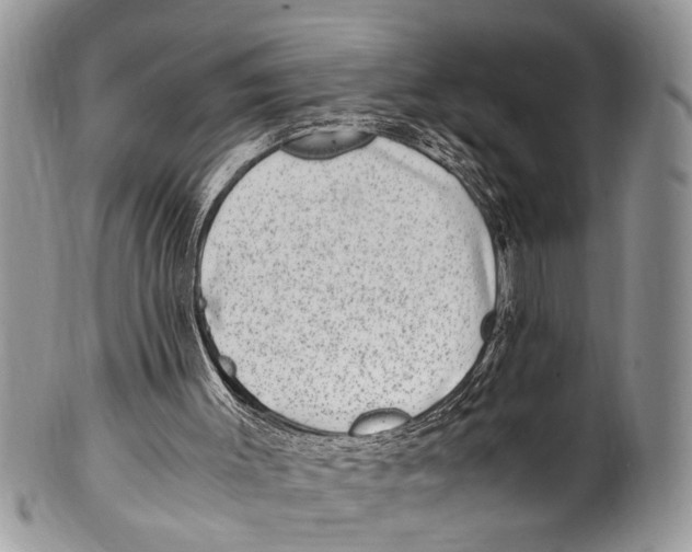 X0000101170003200807251143