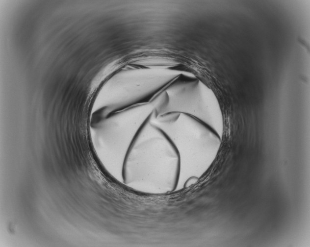 X0000101170004200807251143