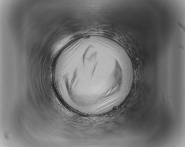 X0000101170005200807251143