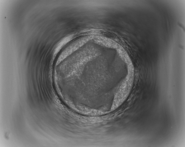 X0000101170006200807251143