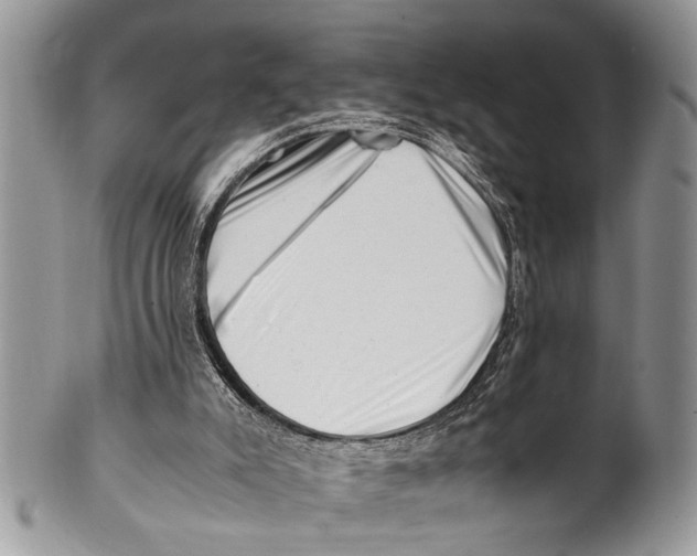 X0000101170007200807251143