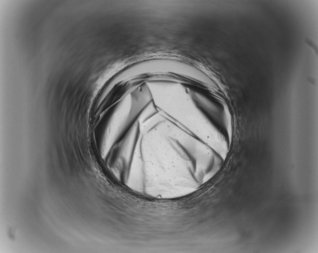 X0000101170008200807251143