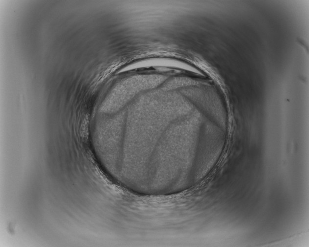 X0000101170009200807251143