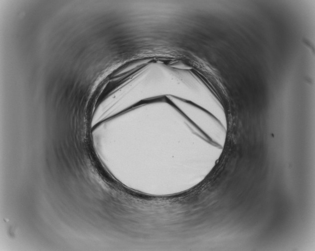 X0000101170012200807251143