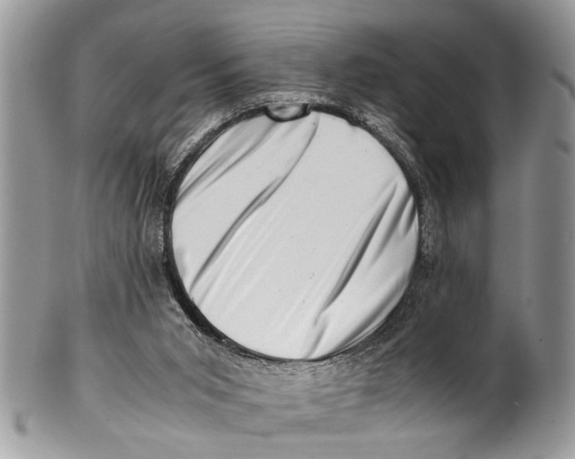 X0000101170015200807251143