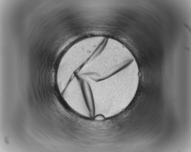 X0000101170016200807251143