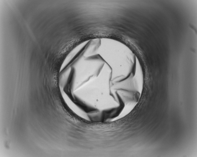 X0000101170017200807251143