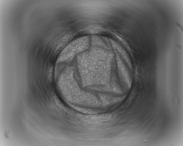 X0000101170018200807251143