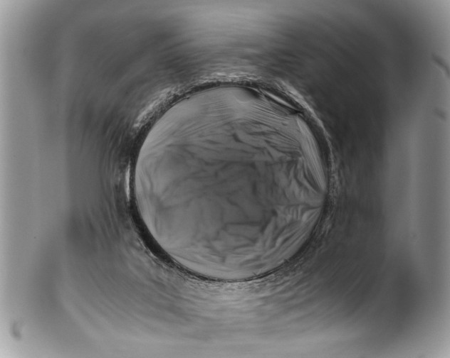 X0000101170019200807251143