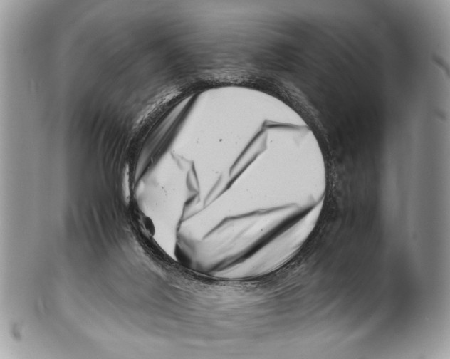 X0000101170020200807251143