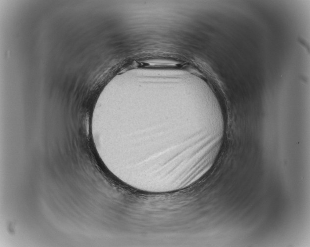 X0000101170021200807251143