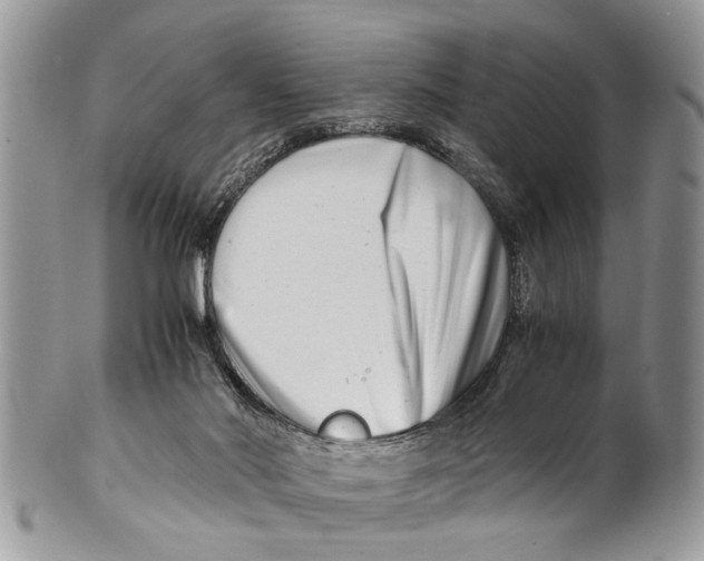 X0000101170022200807251143