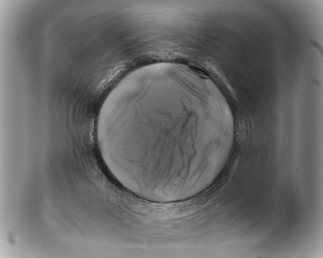 X0000101170023200807251143