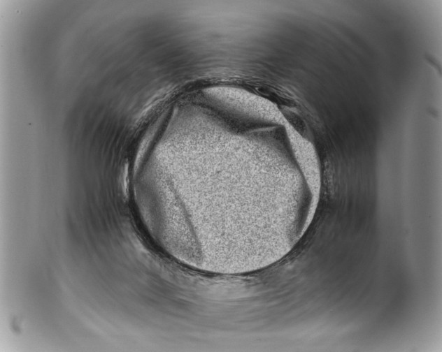 X0000101170024200807251143