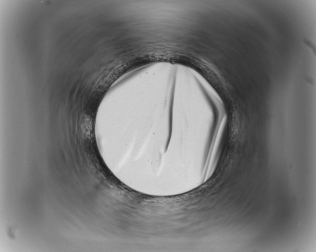 X0000101170025200807251143