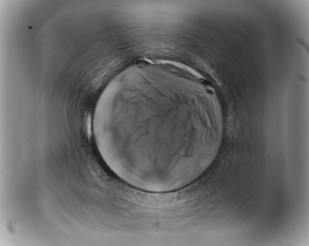 X0000101170027200807251143