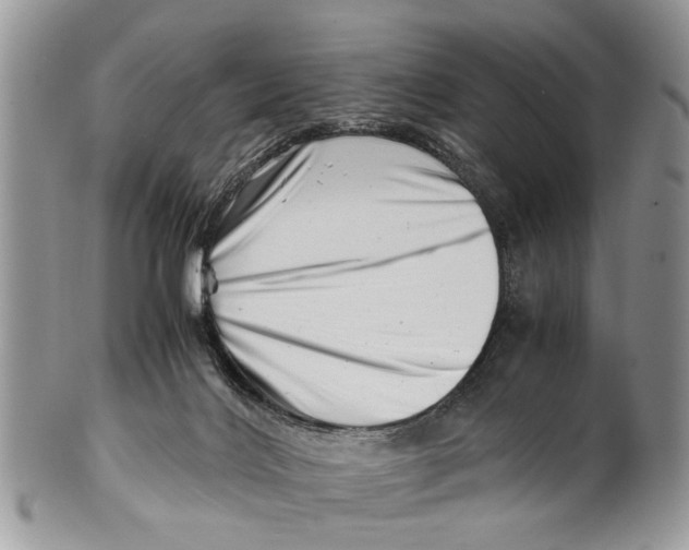 X0000101170028200807251143