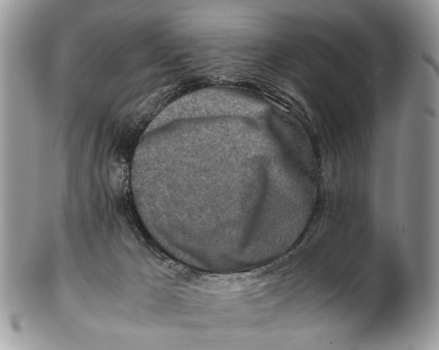 X0000101170029200807251143