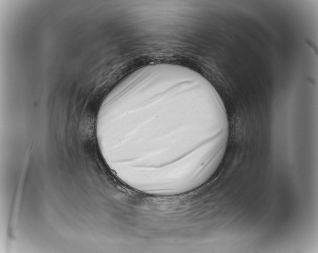 X0000101170033200807251143
