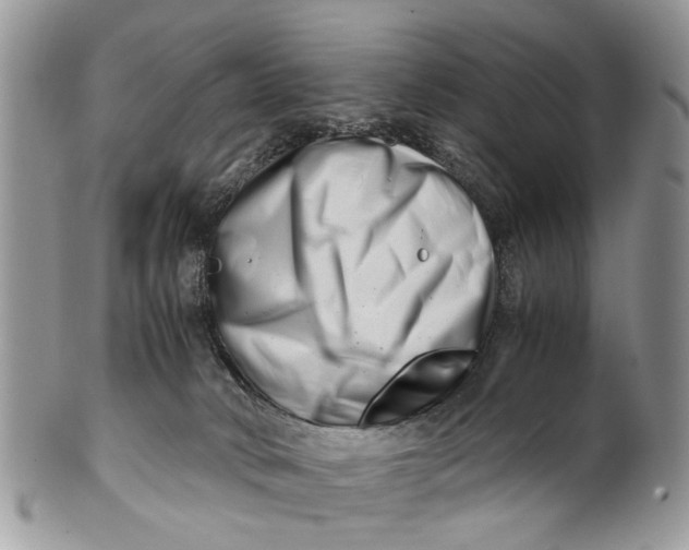 X0000101170034200807251143