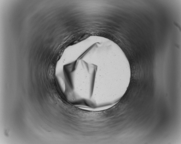 X0000101170036200807251143