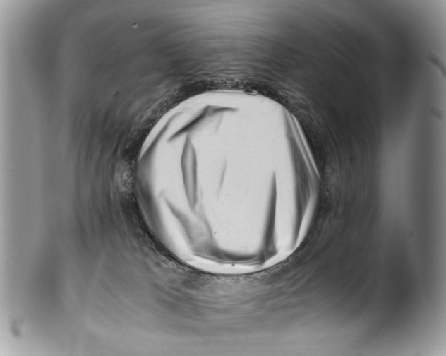 X0000101170037200807251143